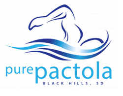 PurePactola: A Dam Good Swim! Volunteer logo